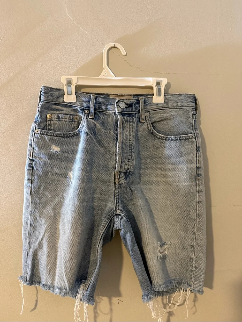 Everlane Light Blue Denim Shorts